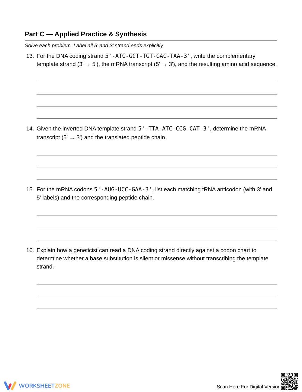 Complete Protein Synthesis Worksheet | Grade 10 Biology - Page 5