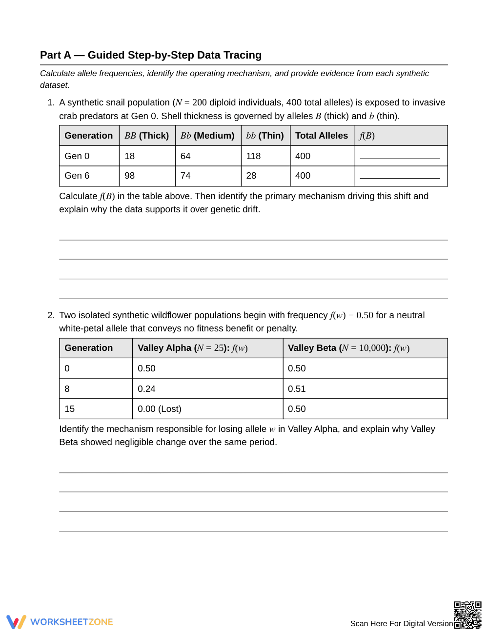 Proven Allele Frequency Change Worksheet | Grade 10 Biology - Page 2