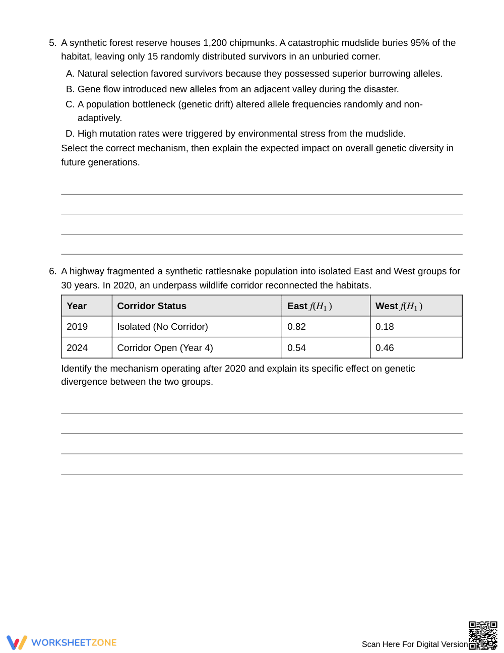 Proven Allele Frequency Change Worksheet | Grade 10 Biology - Page 4