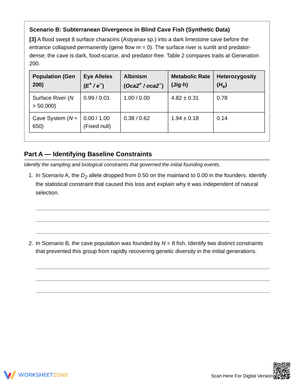 Essential Founder Populations Worksheet | Grade 10 Biology - Page 2