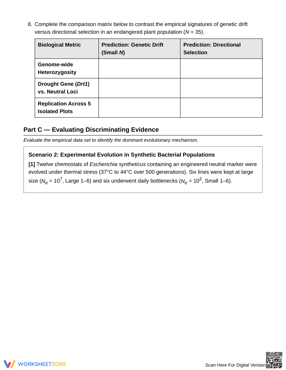 Essential Selection & Drift Worksheet | Grade 10 Biology - Page 4