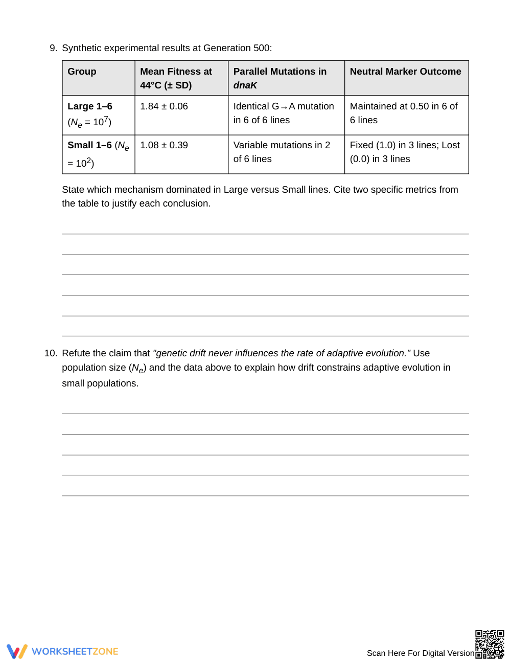 Essential Selection & Drift Worksheet | Grade 10 Biology - Page 5