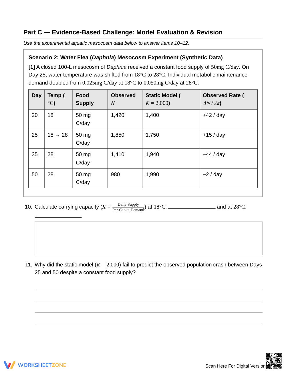 Complete Population Dynamics Worksheet | Grade 10 Biology - Page 4