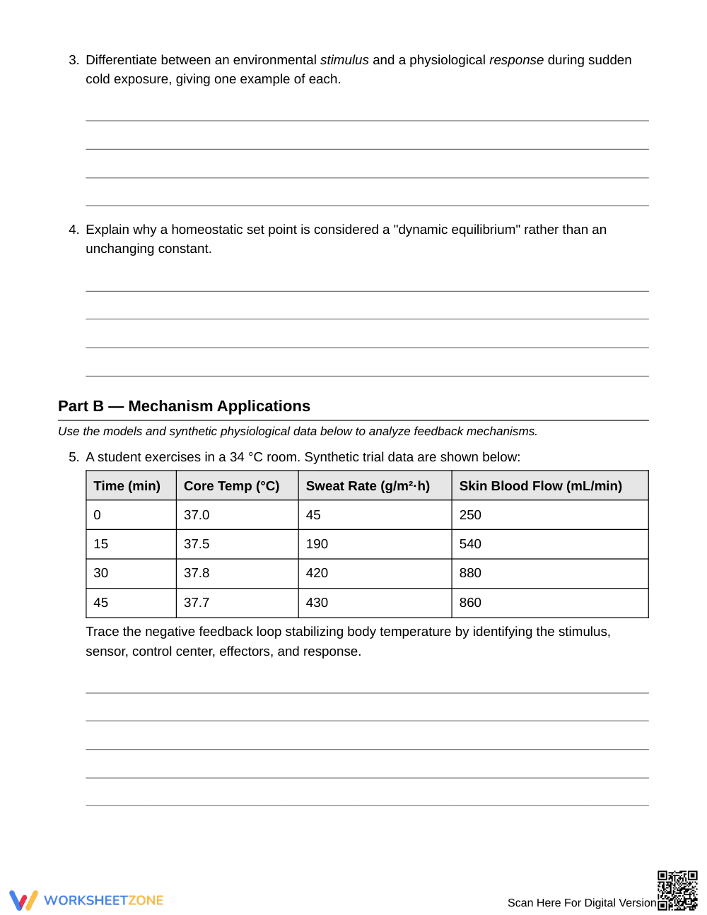 Essential Homeostatic Loops Worksheet | Grade 10 Biology - Page 2
