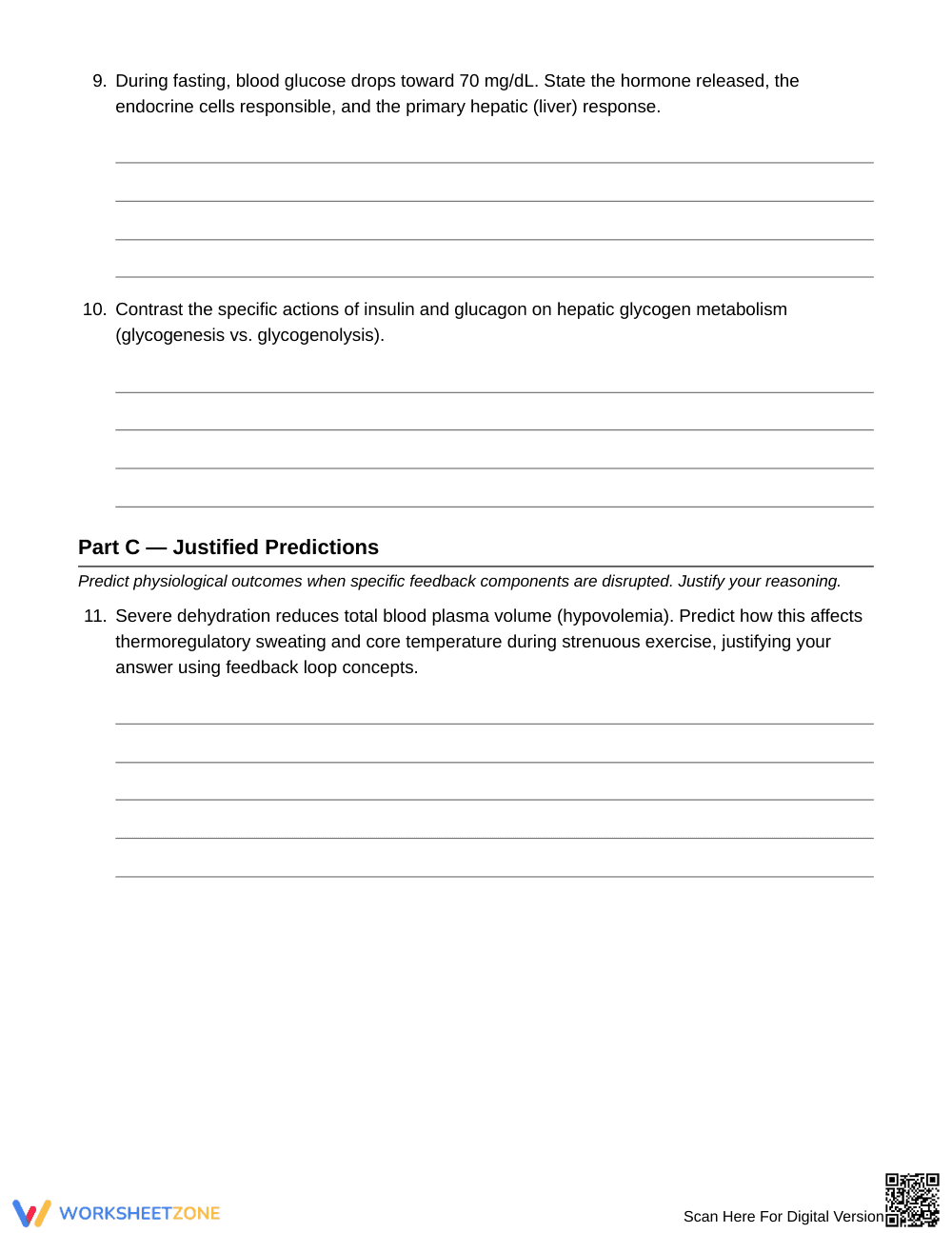 Essential Homeostatic Loops Worksheet | Grade 10 Biology - Page 4