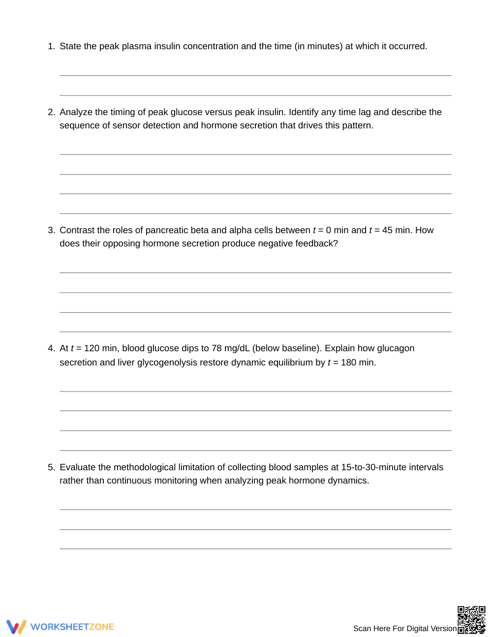 Ready Homeostasis Time Series Worksheet | Grade 10 Biology - Page 2