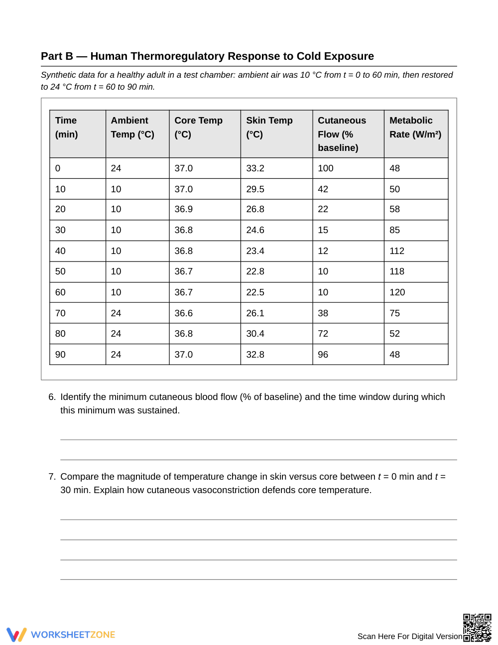 Ready Homeostasis Time Series Worksheet | Grade 10 Biology - Page 3