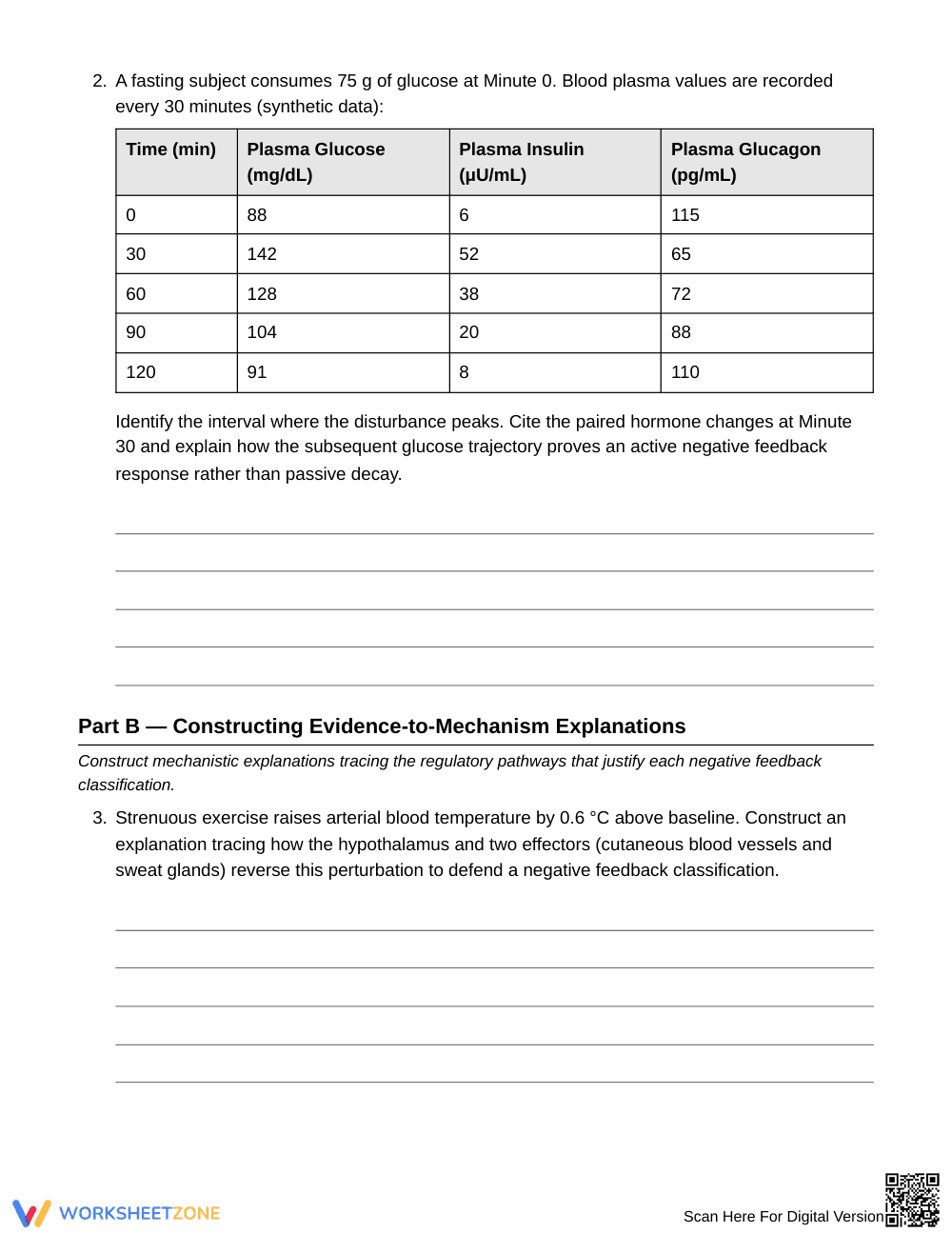 Complete Feedback Systems Worksheet | Grade 10 Biology - Page 3