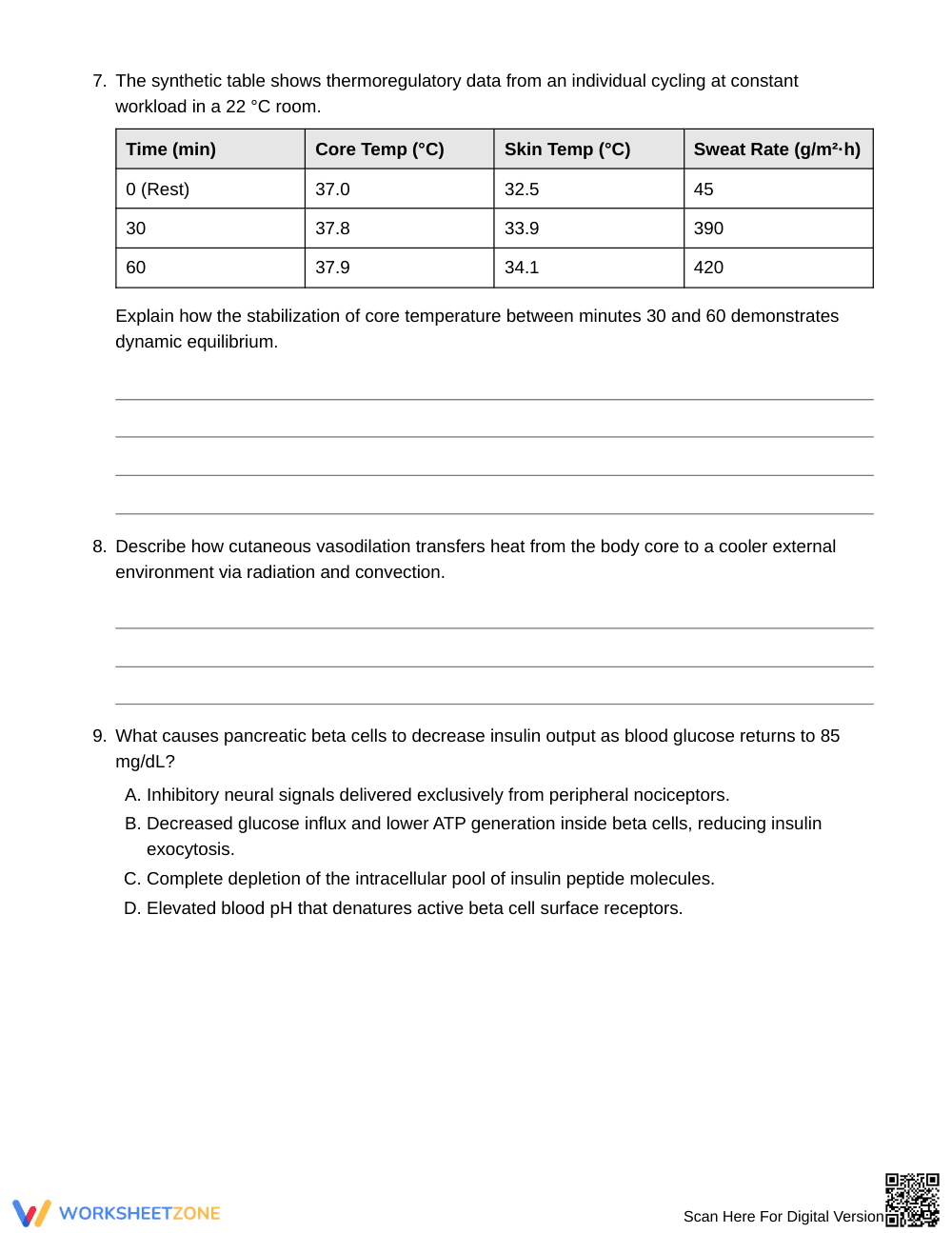Essential Human Homeostasis Worksheet | Grade 10 Biology - Page 3