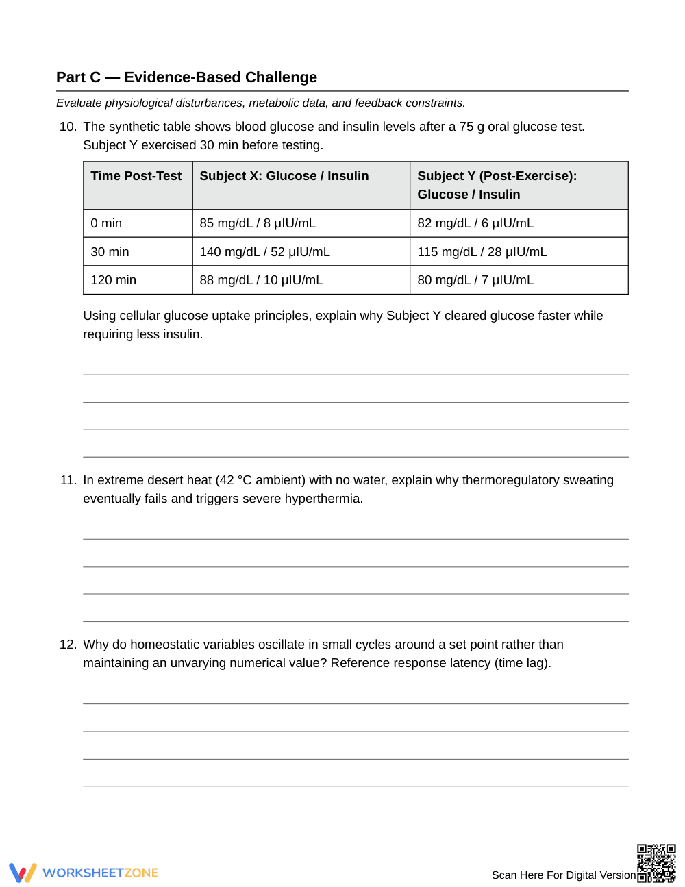 Essential Human Homeostasis Worksheet | Grade 10 Biology - Page 4