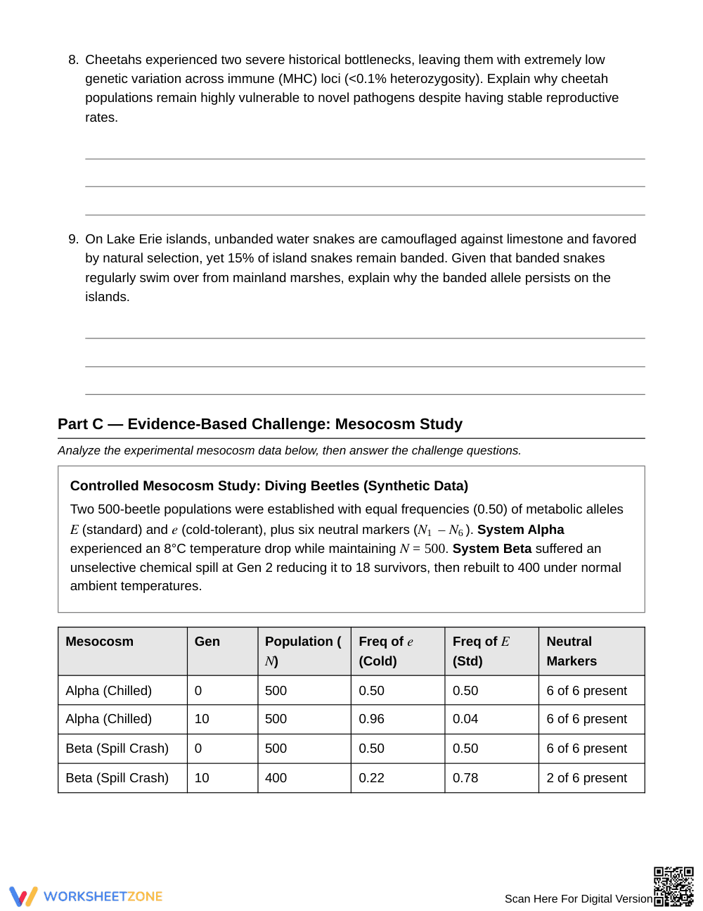 Complete Evolution Mechanisms Worksheet | Grade 10 Biology - Page 4