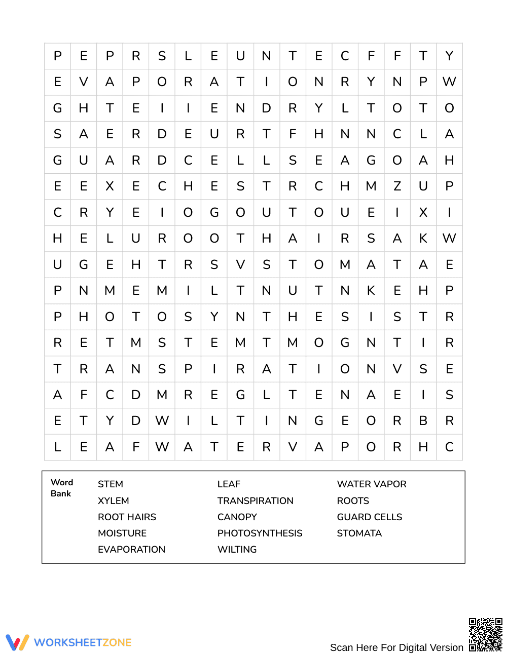 Essential Transpiration Word Search | Grades 4–5 Science - Page 3
