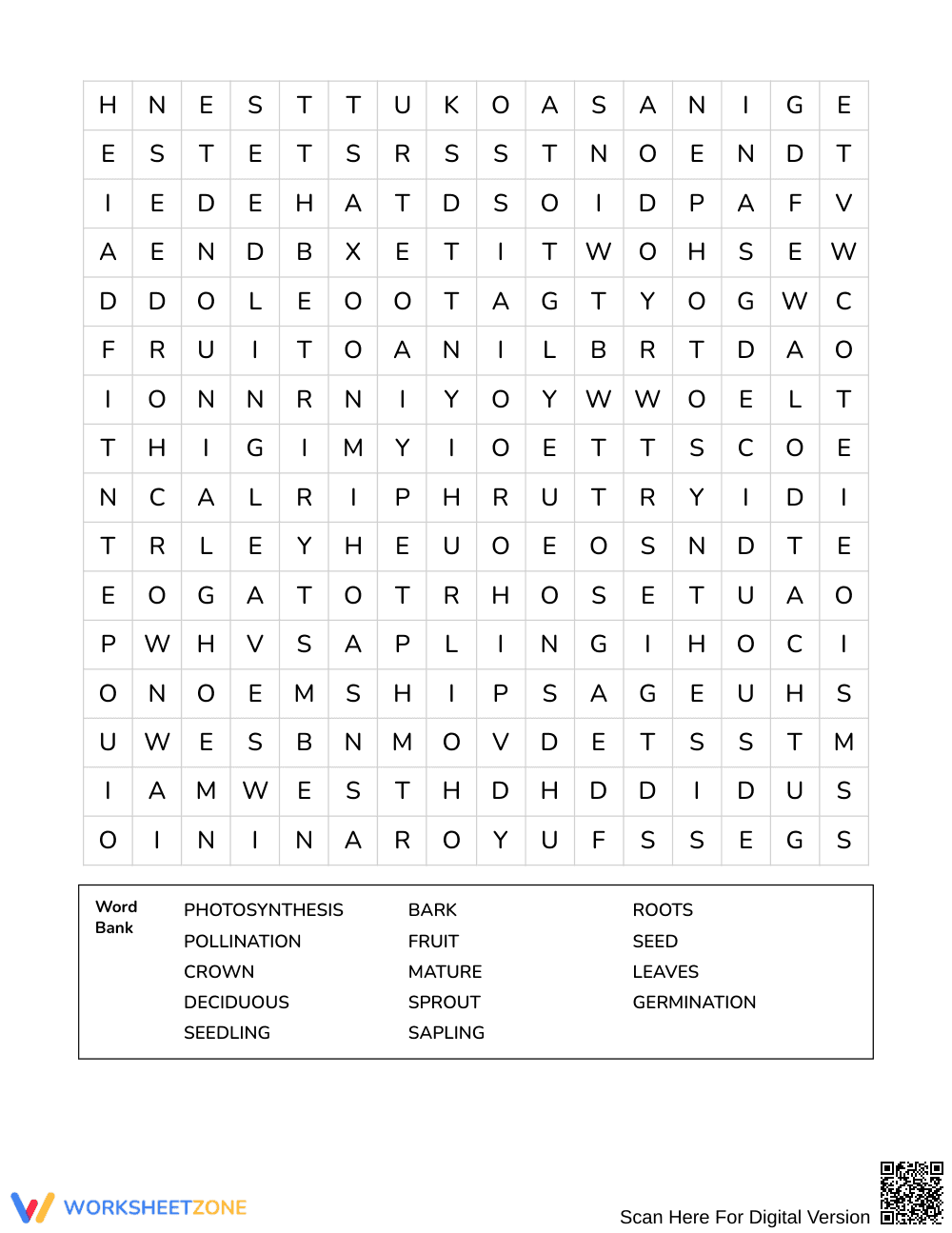 Essential Tree Life Cycles Word Search | Grades 4–5 Science - Page 2