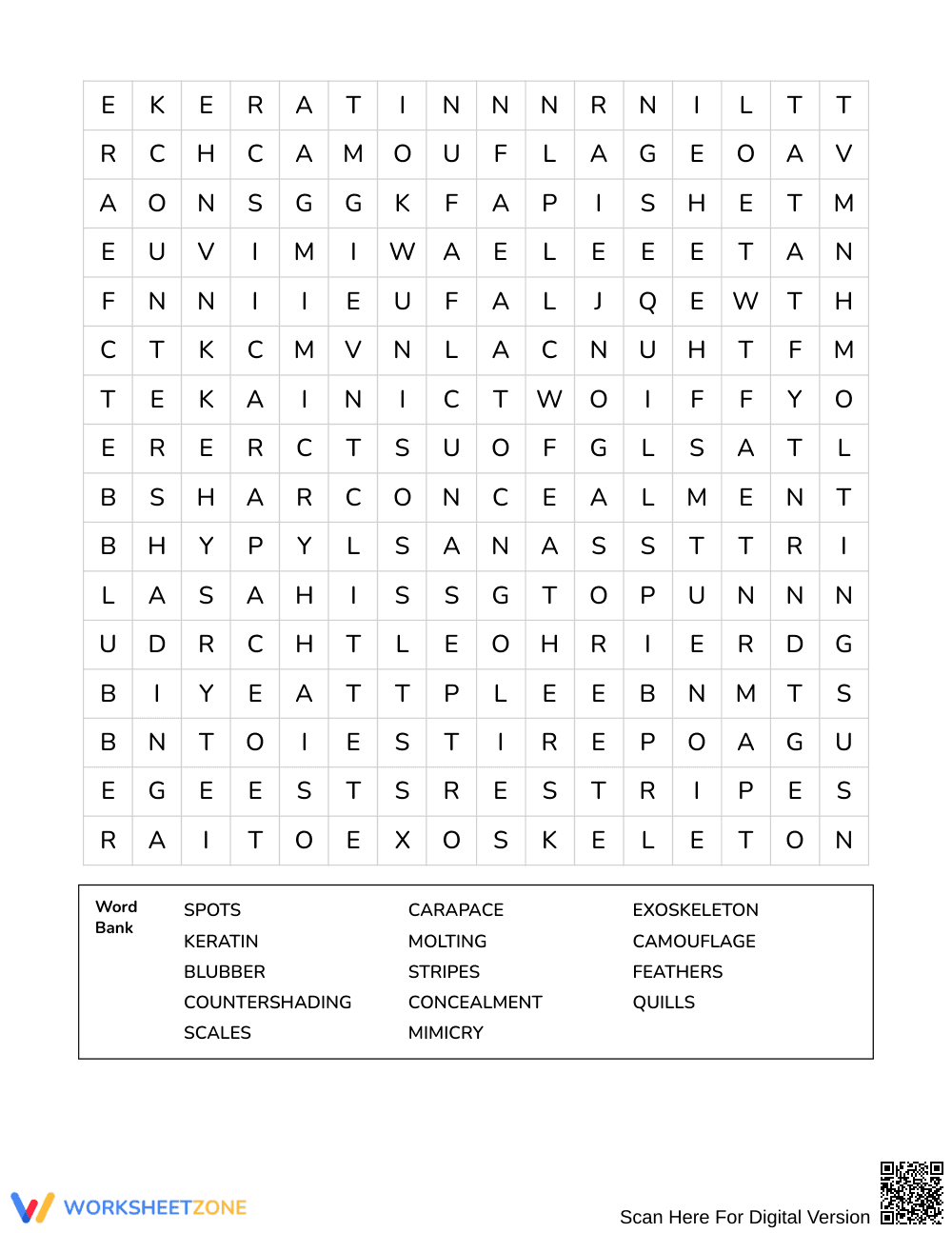 Essential Camouflage Word Search | Grades 4–5 Science - Page 3