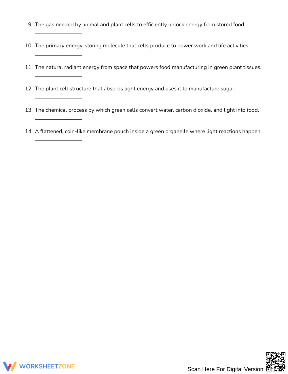 Essential Cell Organelles Word Search | Grade 6 Science - Page 2
