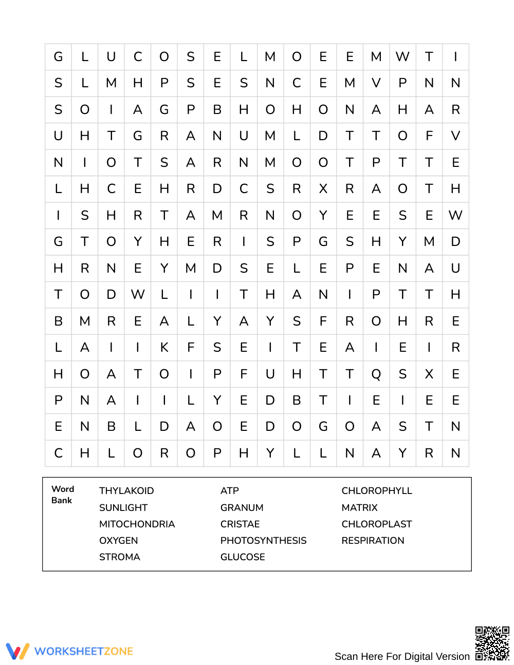 Essential Cell Organelles Word Search | Grade 6 Science - Page 3