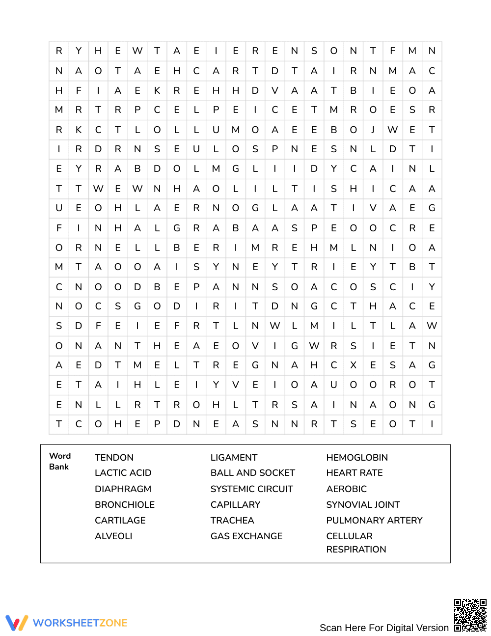 Complete Body Systems Word Search | Grades 7–8 Science - Page 3