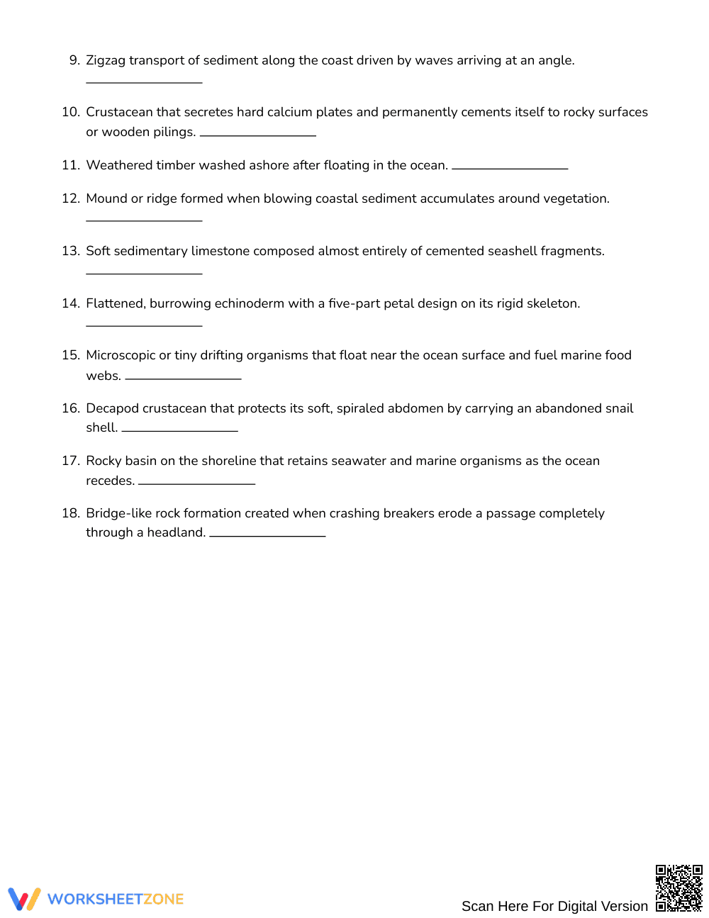 Complete Beach Features Word Search | Grades 7–8 Science - Page 2