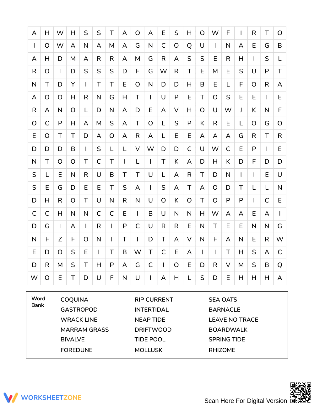 Complete Beach Habitats Word Search | Grades 7–8 Science - Page 3
