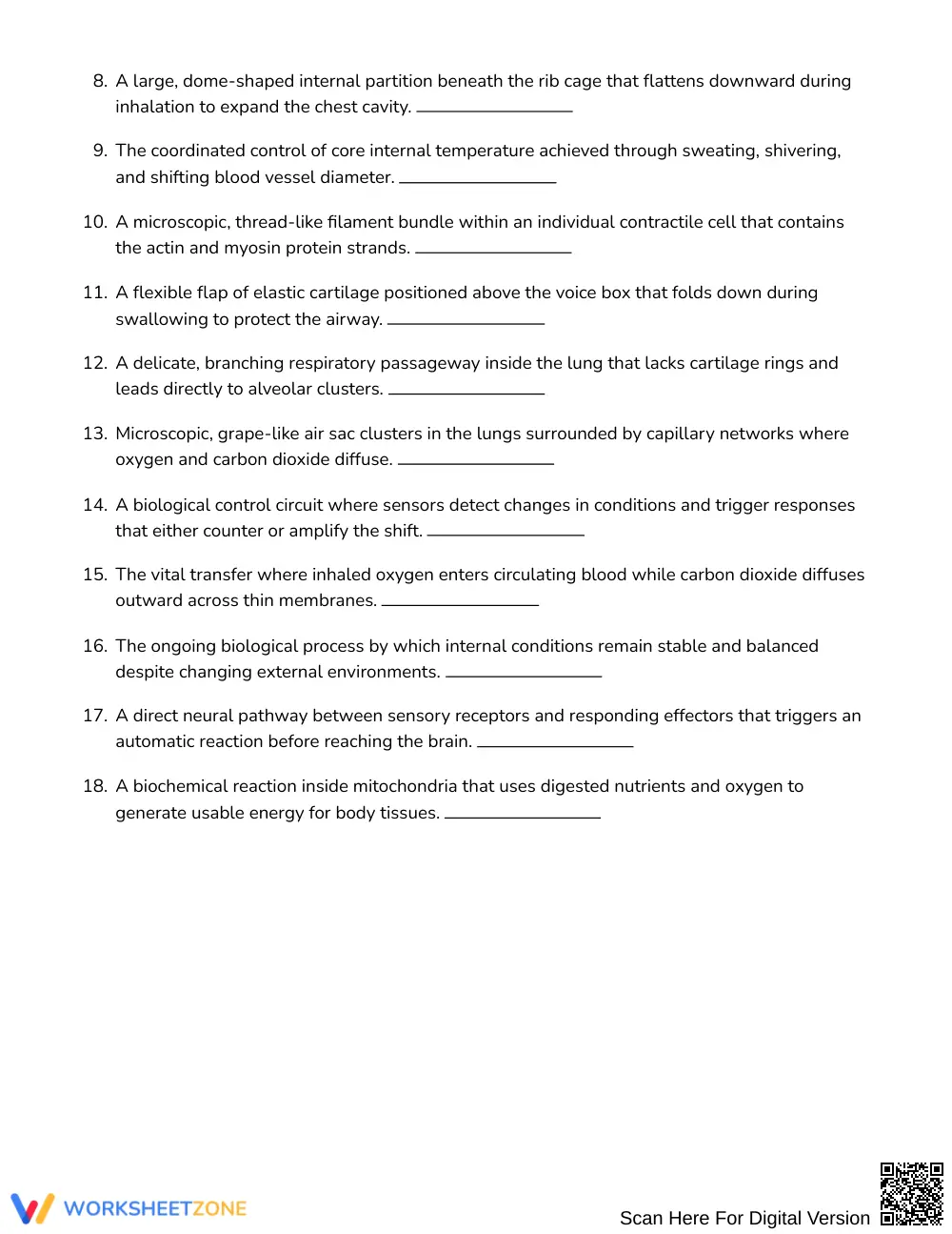 Essential Body Systems Word Search | Grades 7–8 Science - Page 2