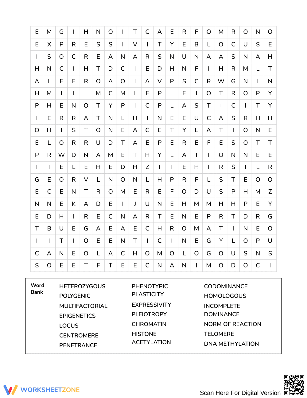 Ready Trait Expression Word Search | Grades 10–12 Science - Page 3