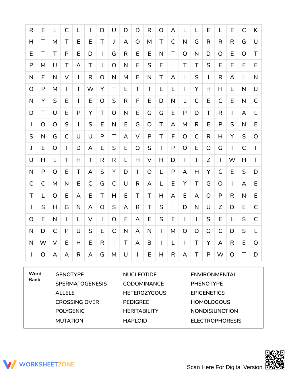 Essential Genetics Word Search | Grades 10–12 Science - Page 3
