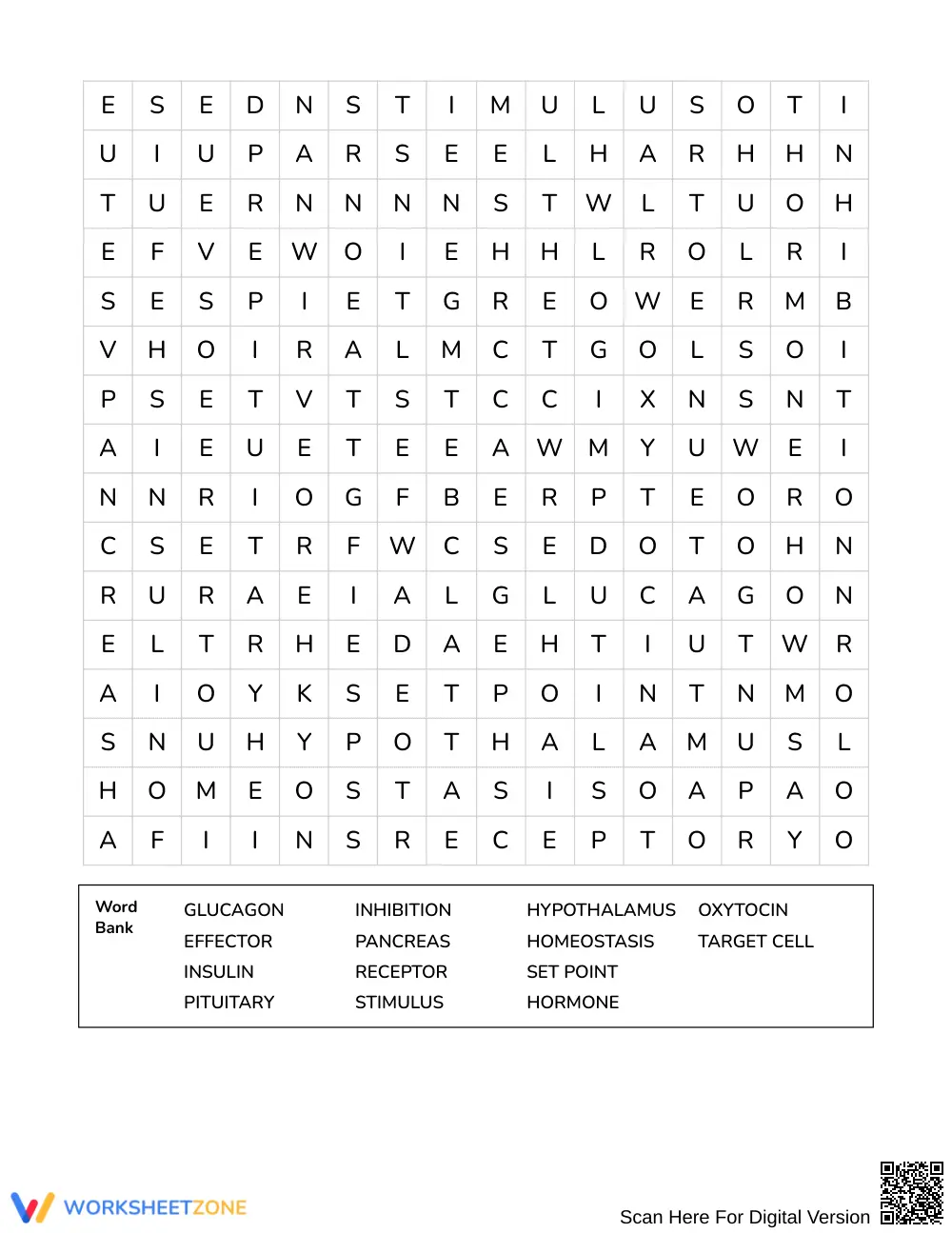 Printable Feedback Loops Word Search | Grades 8–10 Science - Page 3