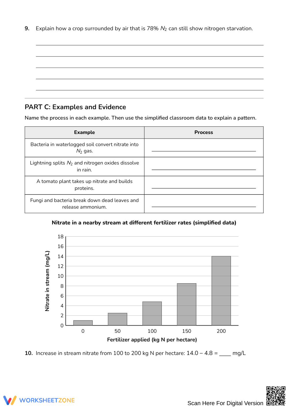 Essential Nitrogen Cycle Worksheet | Grades 9-12 Science - Page 3