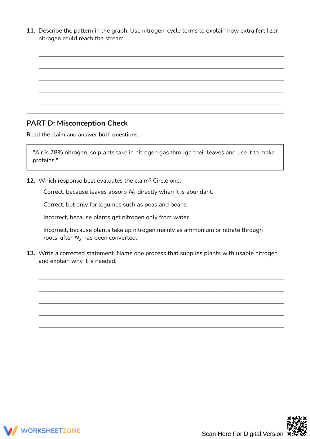 Essential Nitrogen Cycle Worksheet | Grades 9-12 Science - Page 4