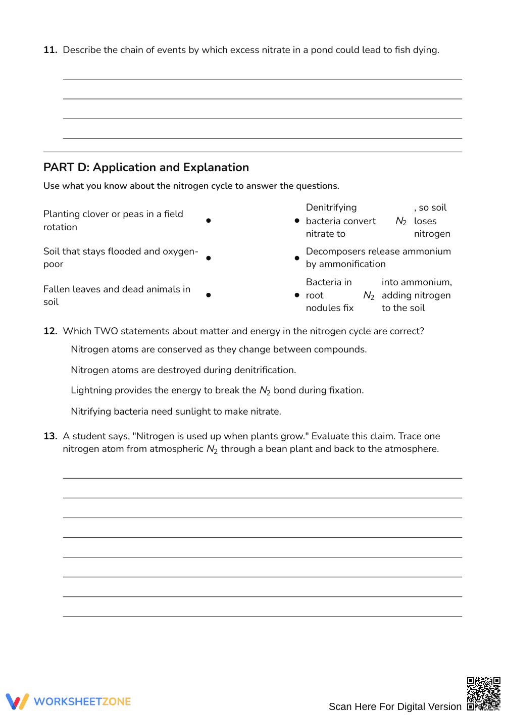 Complete Nitrogen Cycle Worksheet | Grade 9-12 Science - Page 4