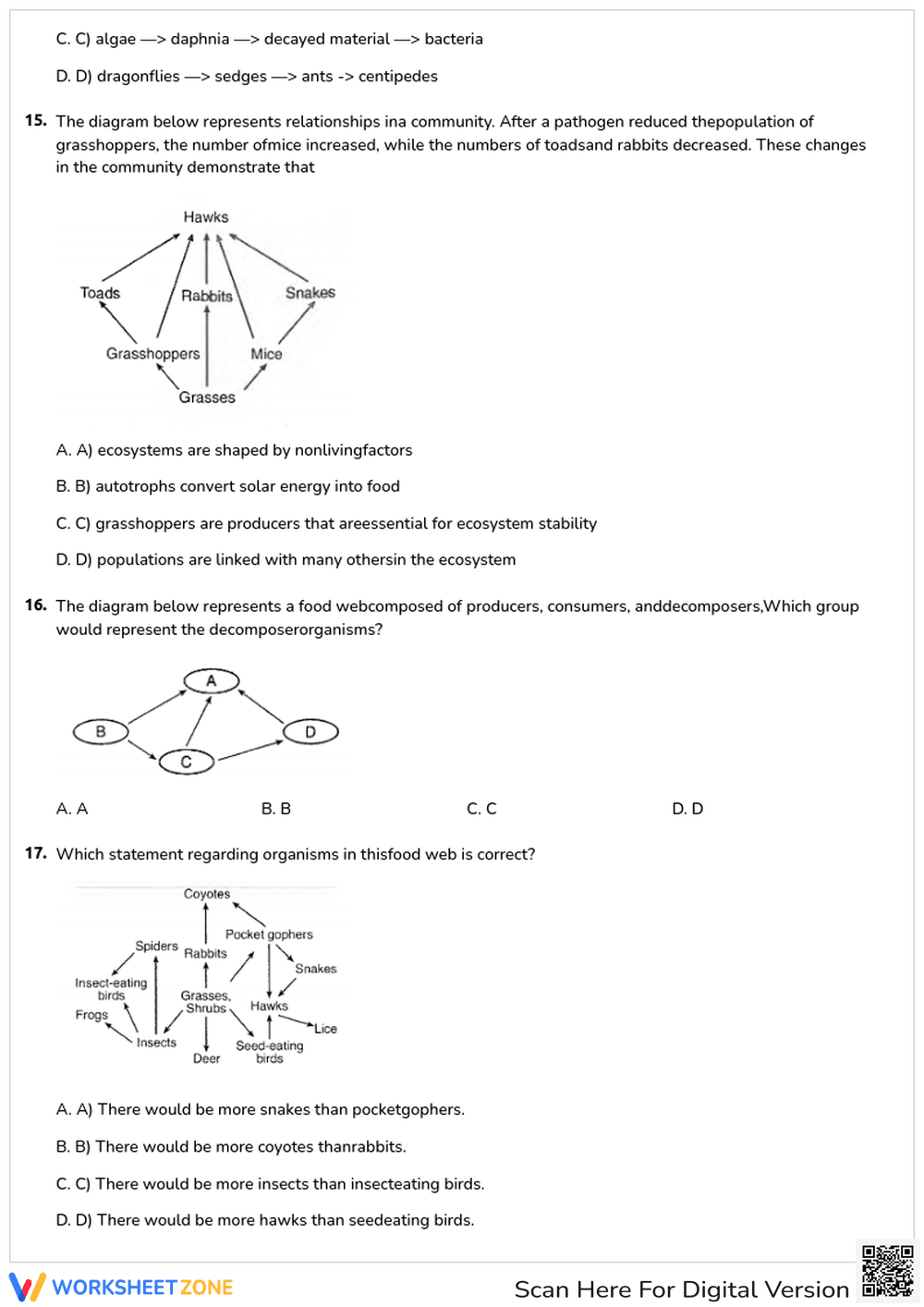 Essential Food Chains and Food Webs Review | Grade 7 Science - Page 4