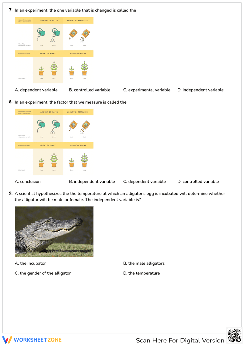 Scientific Method Quiz: Steps and Variables - Page 3