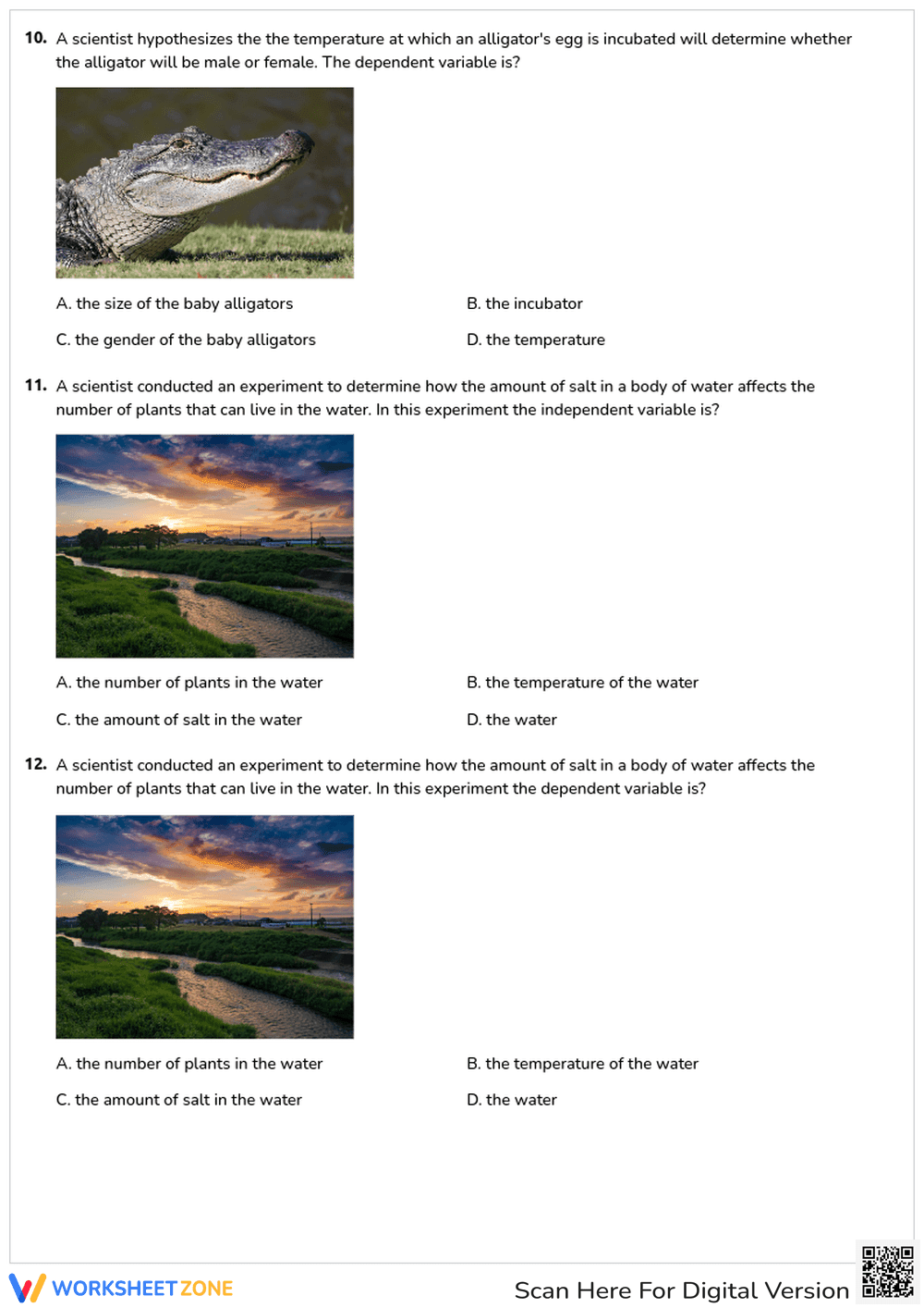 Scientific Method Quiz: Steps and Variables - Page 4