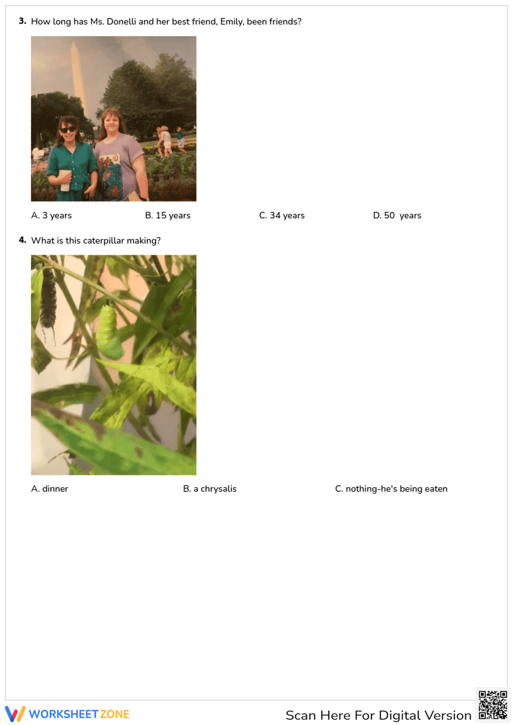 All About Ms. Donelli Quiz | Essential Grades 1-3 - Page 2
