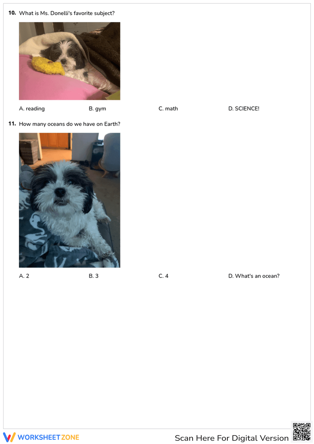 All About Ms. Donelli Quiz | Essential Grades 1-3 - Page 5