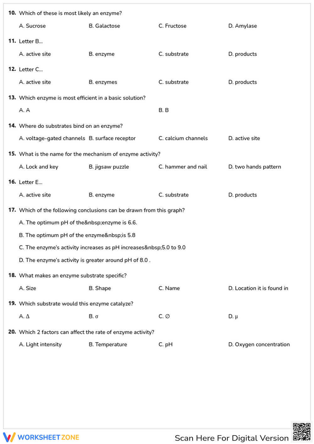 Biology Enzyme Worksheet | Grade 9-10 Essential - Page 2