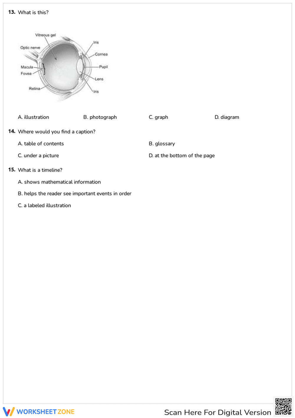 3rd Grade Text Features — Printable No-Prep Worksheet - Page 3