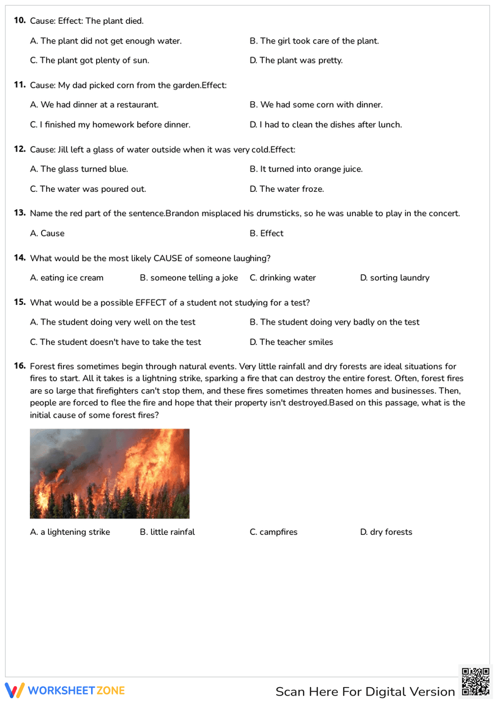 Cause and Effect Practice Sheet - Page 2