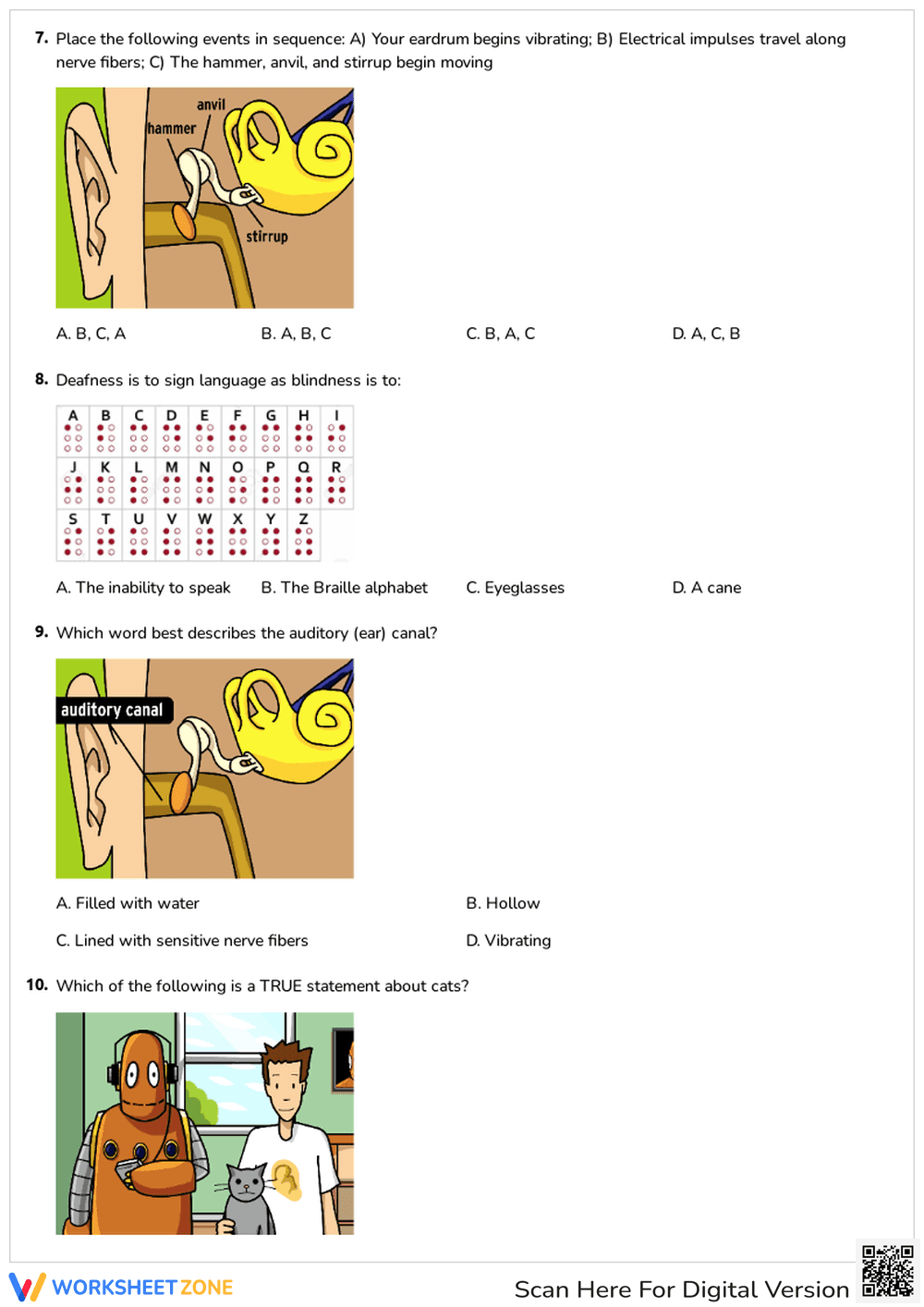 Understanding Sound Waves and Hearing - Page 3