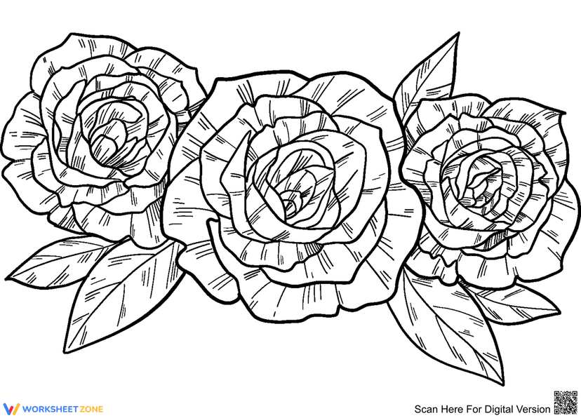 White Roses Simple Worksheet Explore the Beauty of Roses Worksheets