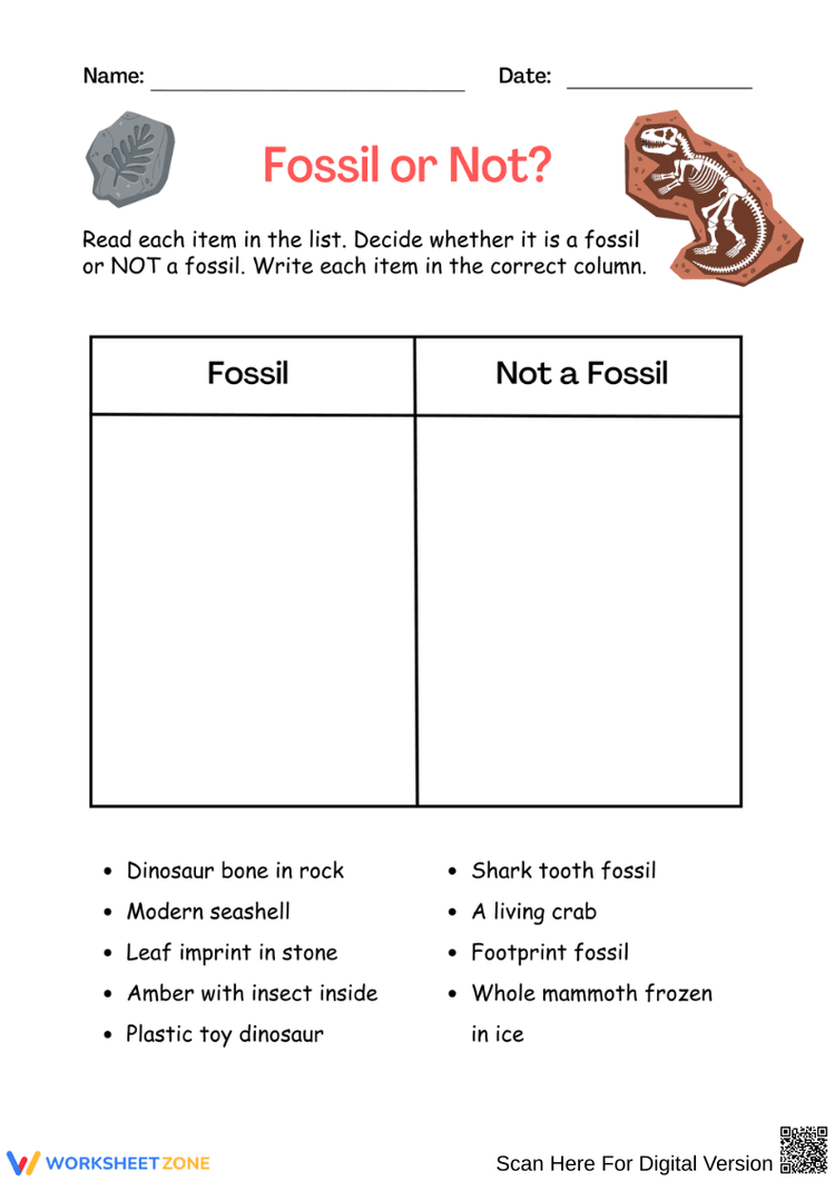 Fossl Sorting Guide Fossil or Not Sorting Worksheet