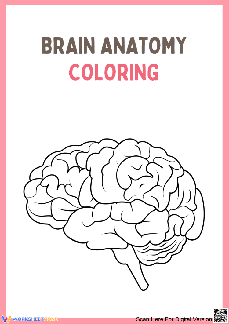Brain Coloring Worksheet.pdf Brain Anatomy Coloring Worksheet