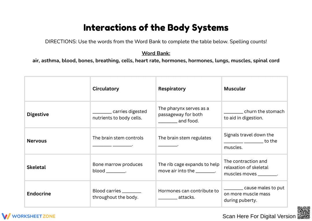 Organ System Interactions Assignment Examples Exploring Body Systems Interactions Worksheets