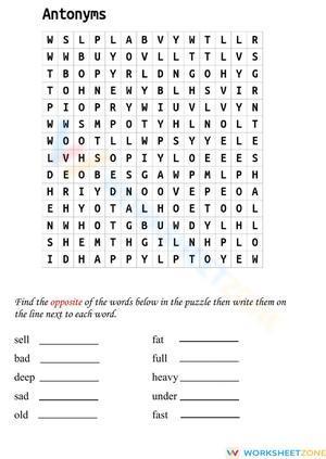 Antonyms Word Search
