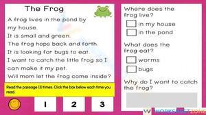 The Frog Comprehension