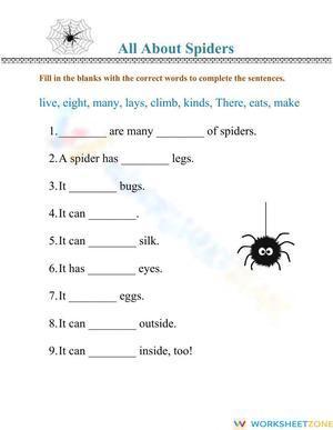 All About Spiders