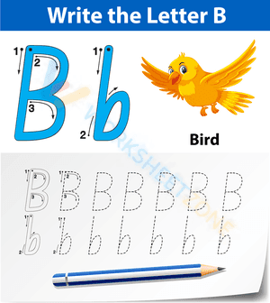 letter b beginning sound worksheets 50