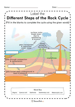Different Steps of the Rock Cycle