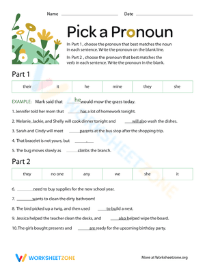 Pick a Pronoun