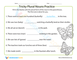 Tricky Plural Nouns Practice